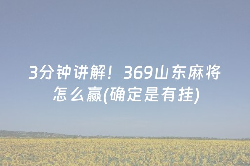 3分钟讲解！369山东麻将怎么赢(确定是有挂)