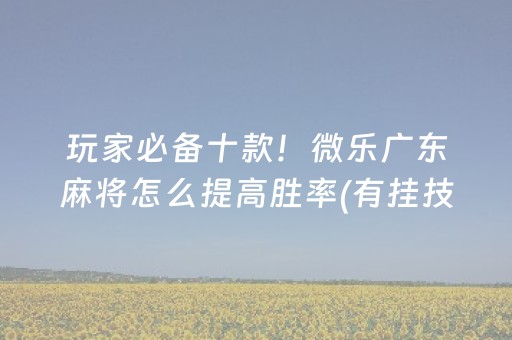 玩家必备十款！微乐广东麻将怎么提高胜率(有挂技巧辅助器)