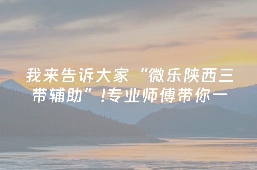 我来告诉大家“微乐陕西三带辅助”!专业师傅带你一起了解（详细教程）-抖音