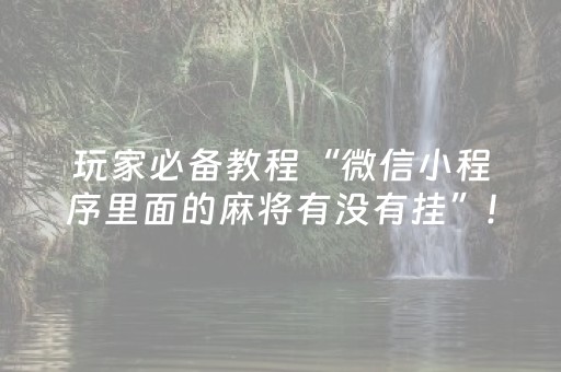 玩家必备教程“微信小程序里面的麻将有没有挂”!详细开挂教程-抖音