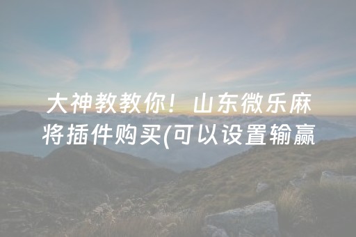 大神教教你！山东微乐麻将插件购买(可以设置输赢吗)