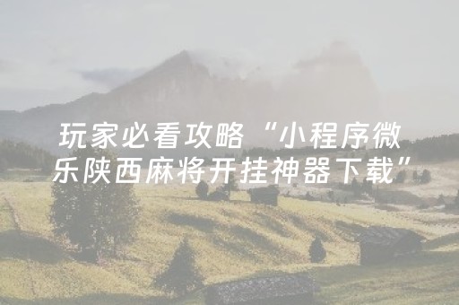 玩家必看攻略“小程序微乐陕西麻将开挂神器下载”!详细开挂教程-抖音