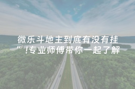 微乐斗地主到底有没有挂”!专业师傅带你一起了解（详细教程）-抖音