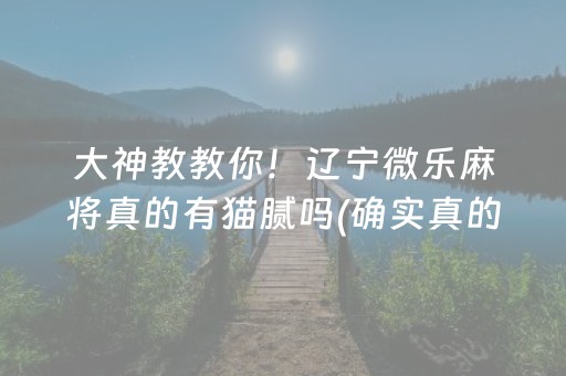 大神教教你！辽宁微乐麻将真的有猫腻吗(确实真的有挂)