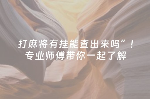 打麻将有挂能查出来吗”!专业师傅带你一起了解（详细教程）-抖音