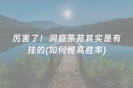 厉害了！洞庭茶苑其实是有挂的(如何提高胜率)