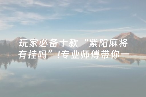 玩家必备十款“紫阳麻将有挂吗”!专业师傅带你一起了解（详细教程）-抖音