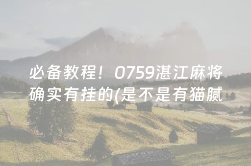 必备教程！0759湛江麻将确实有挂的(是不是有猫腻)