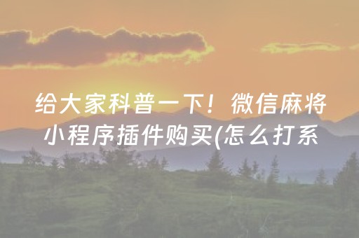 给大家科普一下！微信麻将小程序插件购买(怎么打系统才能给好牌)