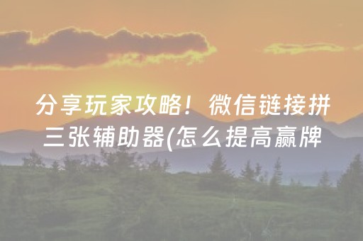 分享玩家攻略！微信链接拼三张辅助器(怎么提高赢牌率)