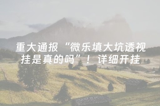 重大通报“微乐填大坑透视挂是真的吗”！详细开挂教程（确实真的有挂)-抖音