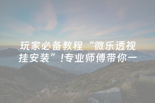 玩家必备教程“微乐透视挂安装”!专业师傅带你一起了解（详细教程）-抖音