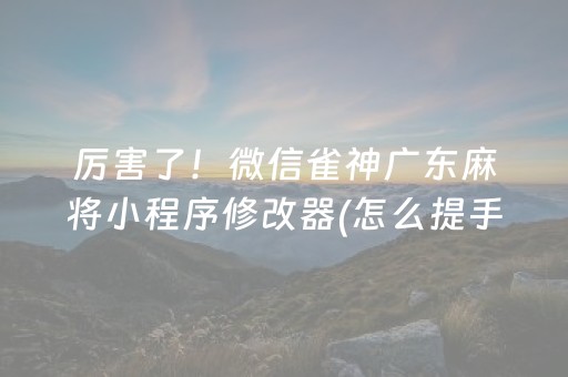 厉害了！微信雀神广东麻将小程序修改器(怎么提手拿好牌)