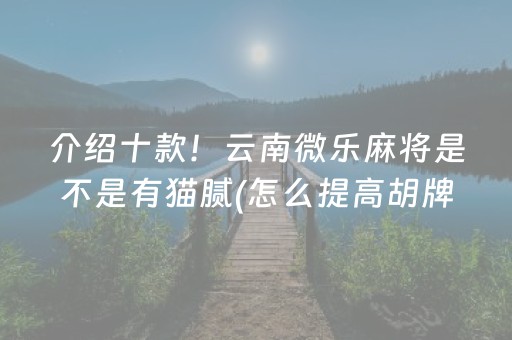 介绍十款！云南微乐麻将是不是有猫腻(怎么提高胡牌率)