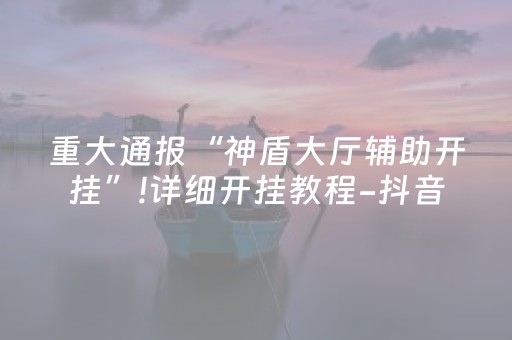 重大通报“神盾大厅辅助开挂”!详细开挂教程-抖音