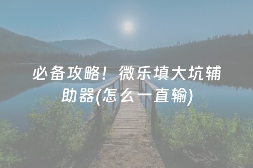 必备攻略！微乐填大坑辅助器(怎么一直输)