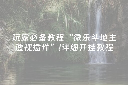 玩家必备教程“微乐斗地主透视插件”!详细开挂教程-抖音