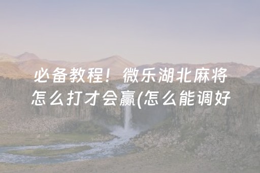 必备教程！微乐湖北麻将怎么打才会赢(怎么能调好牌)