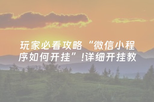 玩家必看攻略“微信小程序如何开挂”!详细开挂教程-抖音