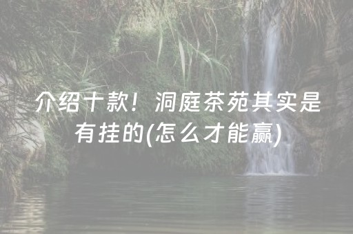 介绍十款！洞庭茶苑其实是有挂的(怎么才能赢)