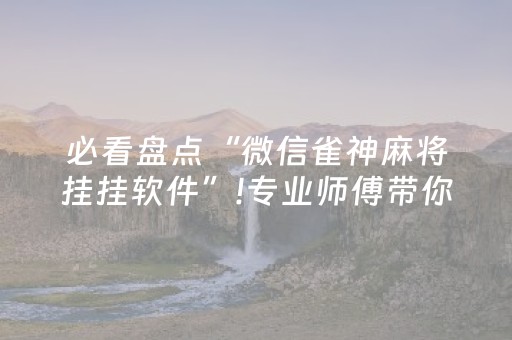 必看盘点“微信雀神麻将挂挂软件”!专业师傅带你一起了解（详细教程）-抖音