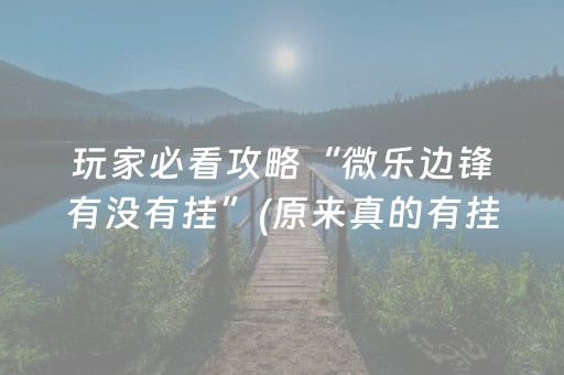 玩家必看攻略“微乐边锋有没有挂”(原来真的有挂)-抖音