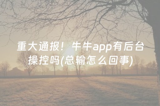 重大通报！牛牛app有后台操控吗(总输怎么回事)