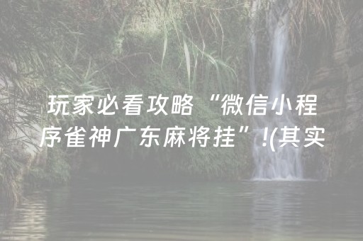 玩家必看攻略“微信小程序雀神广东麻将挂”!(其实确实有挂)-抖音