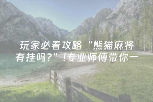 玩家必看攻略“熊猫麻将有挂吗?”!专业师傅带你一起了解（详细教程）-抖音