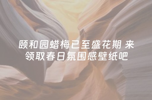 颐和园蜡梅已至盛花期 来领取春日氛围感壁纸吧