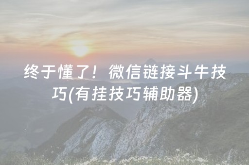 终于懂了！微信链接斗牛技巧(有挂技巧辅助器)