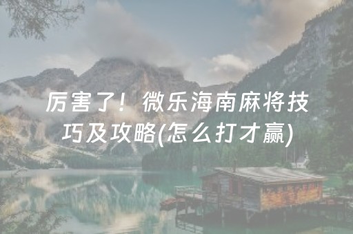 厉害了！微乐海南麻将技巧及攻略(怎么打才赢)