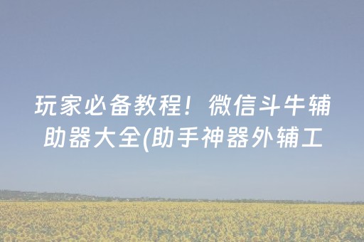 玩家必备教程！微信斗牛辅助器大全(助手神器外辅工具)