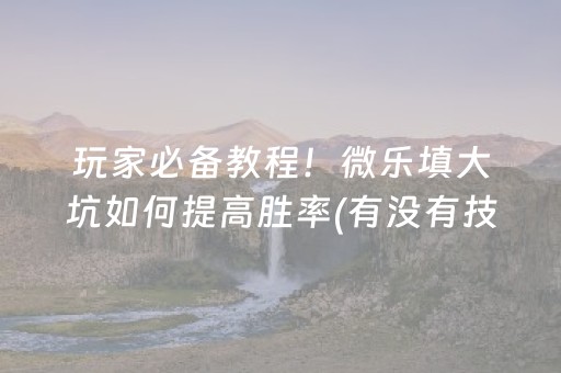 玩家必备教程！微乐填大坑如何提高胜率(有没有技巧)