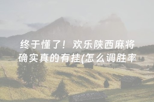 终于懂了！欢乐陕西麻将确实真的有挂(怎么调胜率)