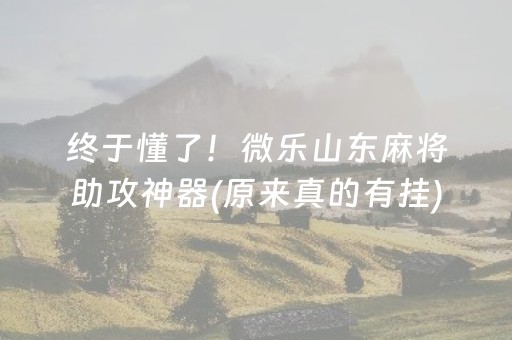 终于懂了！微乐山东麻将助攻神器(原来真的有挂)