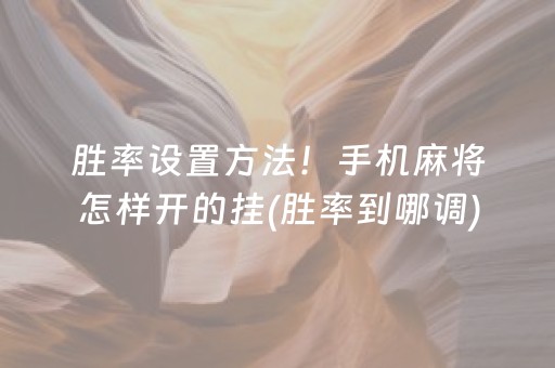 胜率设置方法！手机麻将怎样开的挂(胜率到哪调)