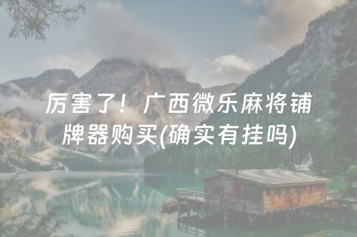 厉害了！广西微乐麻将铺牌器购买(确实有挂吗)