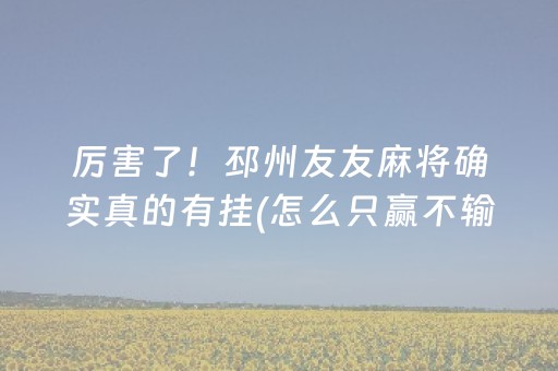 厉害了！邳州友友麻将确实真的有挂(怎么只赢不输)