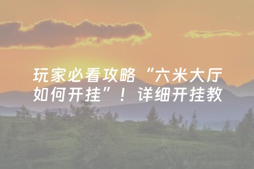 玩家必看攻略“六米大厅如何开挂”！详细开挂教程（确实真的有挂)-抖音