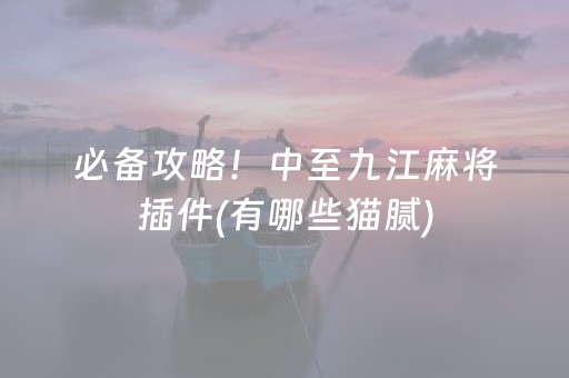 必备攻略！中至九江麻将插件(有哪些猫腻)