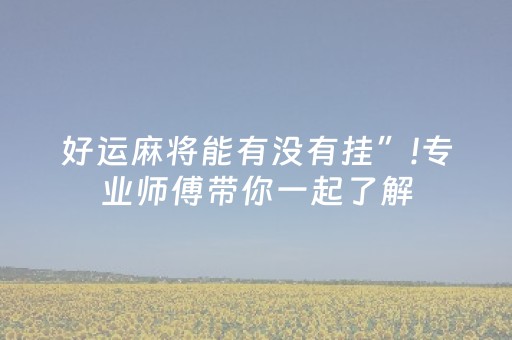 好运麻将能有没有挂”!专业师傅带你一起了解（详细教程）-抖音