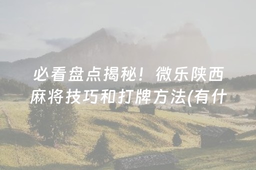 必看盘点揭秘！微乐陕西麻将技巧和打牌方法(有什么能赢的方法)