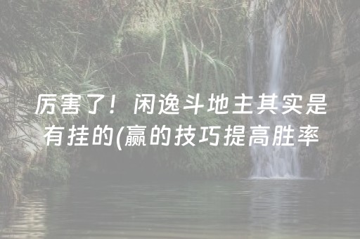 厉害了！闲逸斗地主其实是有挂的(赢的技巧提高胜率)