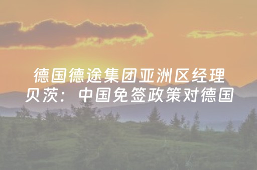 德国德途集团亚洲区经理贝茨：中国免签政策对德国游客形成新的吸引力