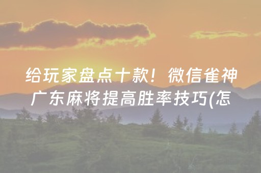 给玩家盘点十款！微信雀神广东麻将提高胜率技巧(怎么调整胜率)