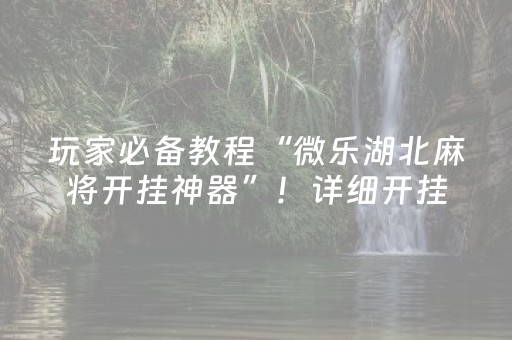 玩家必备教程“微乐湖北麻将开挂神器”！详细开挂教程（确实真的有挂)-抖音