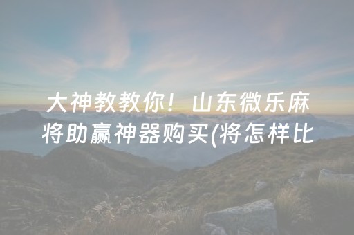 大神教教你！山东微乐麻将助赢神器购买(将怎样比较容易赢)