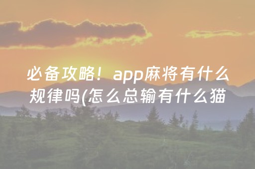 必备攻略！app麻将有什么规律吗(怎么总输有什么猫腻)