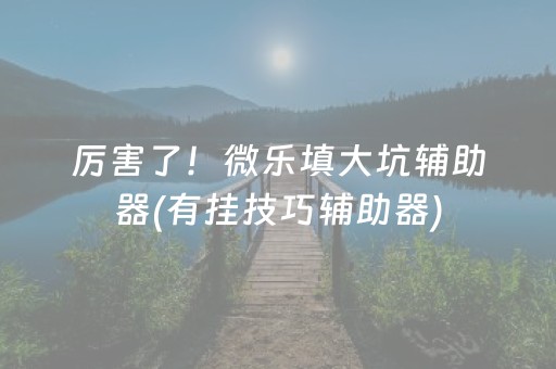 厉害了！微乐填大坑辅助器(有挂技巧辅助器)